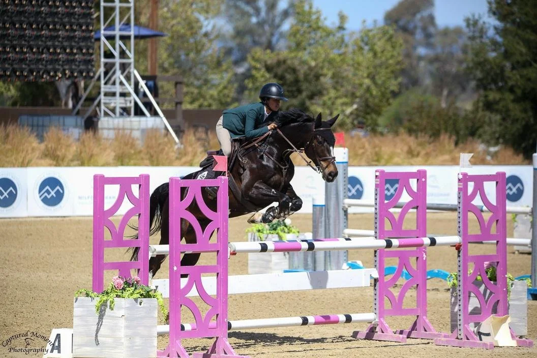 WhatsApp Image 2026-02-23 at 21.10.46.jpeg