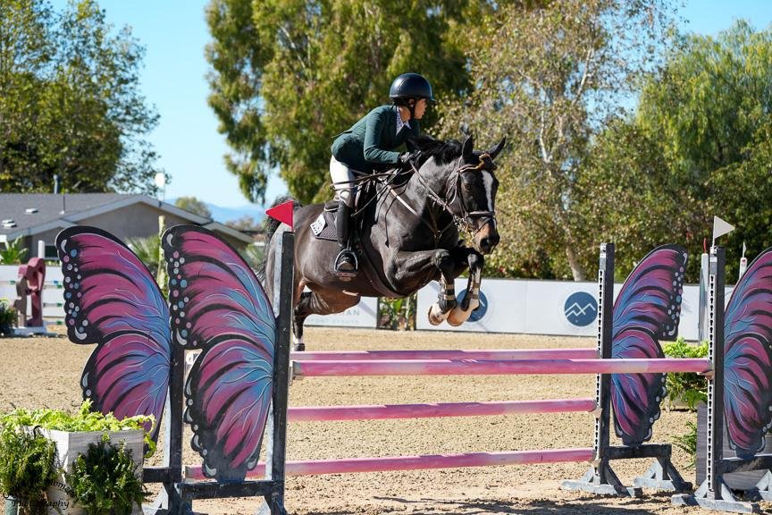 WhatsApp Image 2026-02-23 at 21.10.38 (1).jpeg