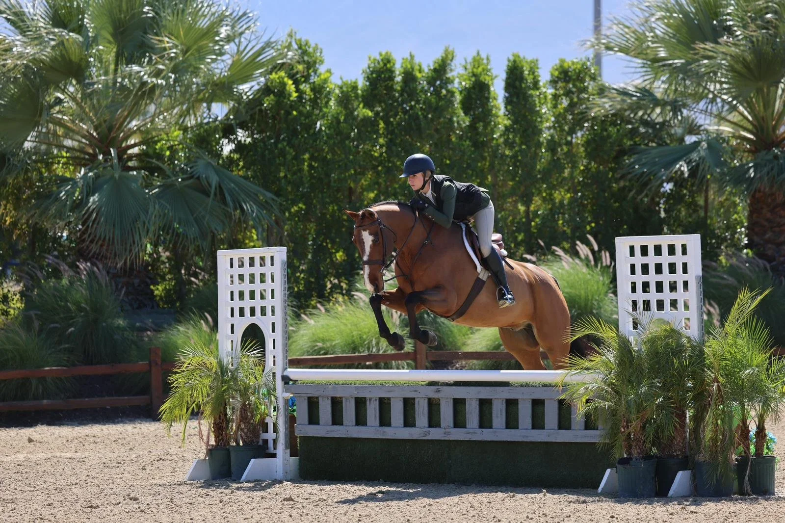 WhatsApp Image 2026-03-12 at 13.07.11 (1).jpeg