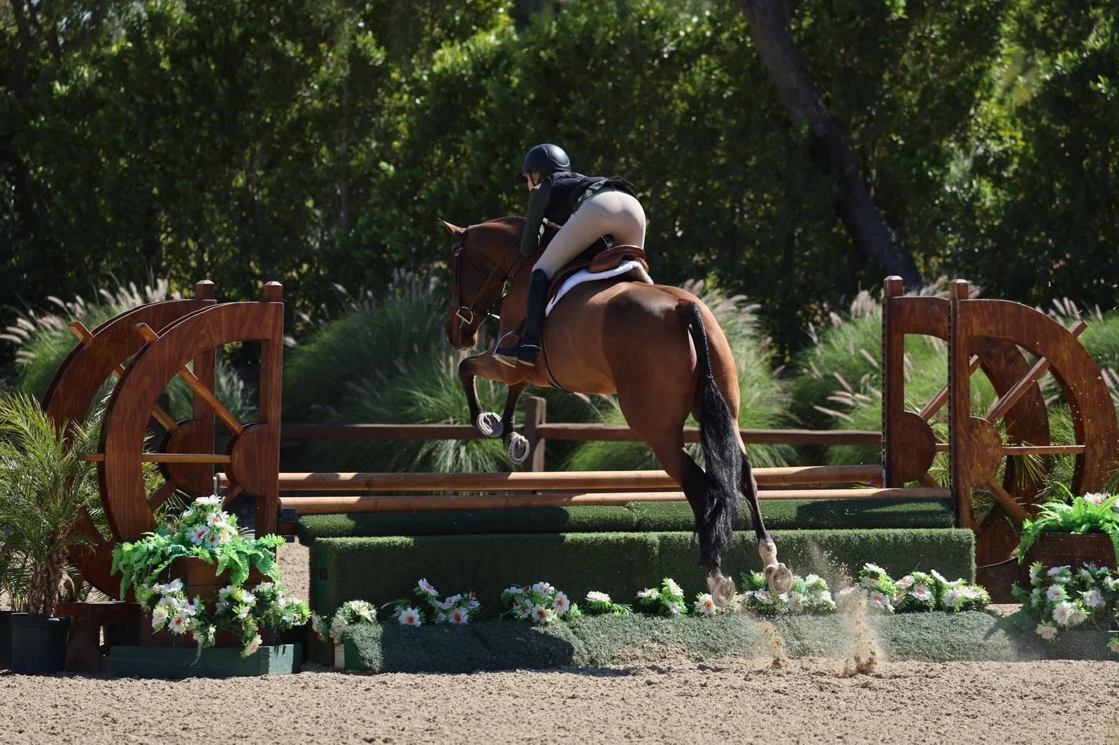 WhatsApp Image 2026-03-12 at 13.07.12 (2).jpeg