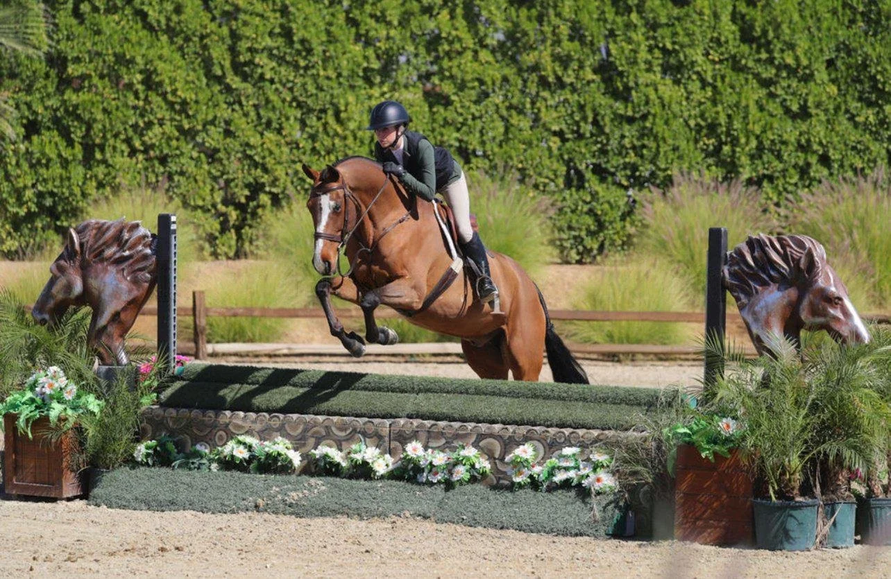 WhatsApp Image 2026-03-12 at 13.07.11.jpeg