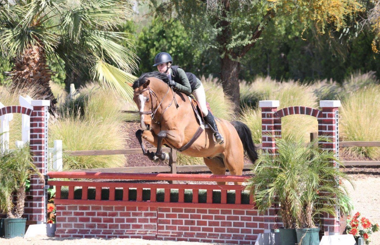 WhatsApp Image 2026-03-12 at 13.07.12 (1).jpeg