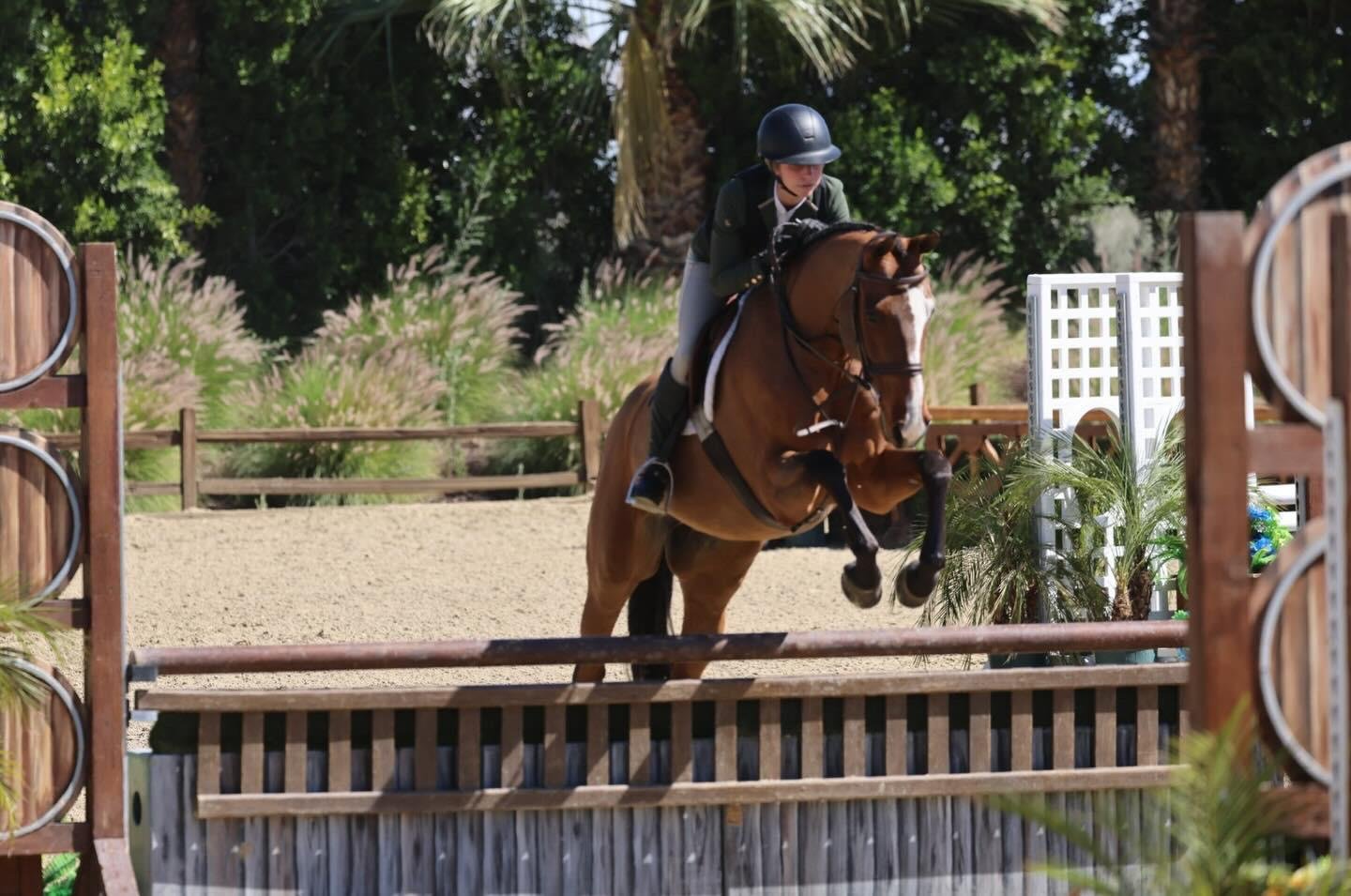 WhatsApp Image 2026-03-12 at 13.07.13 (2).jpeg