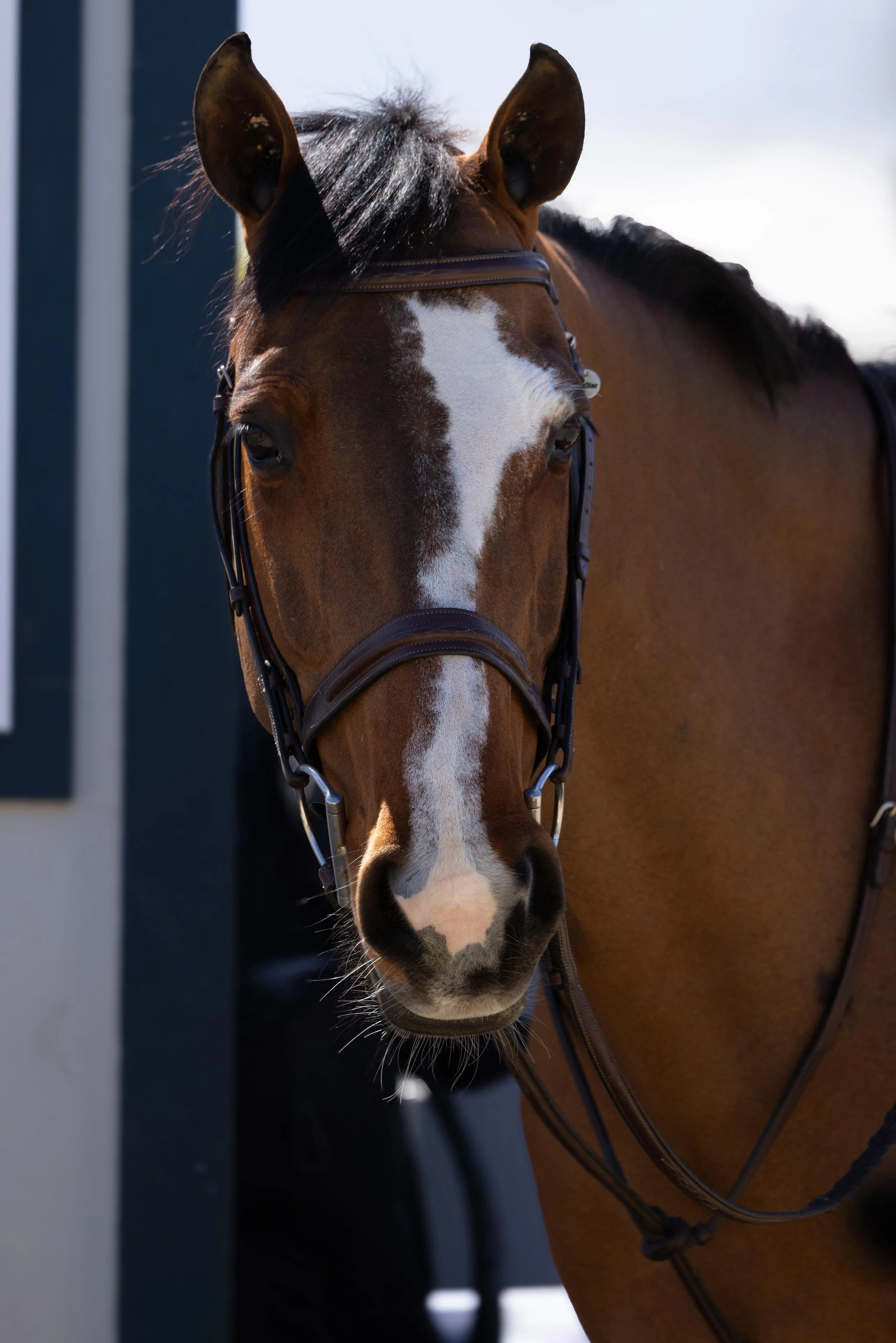 WhatsApp Image 2026-03-12 at 13.07.13 (1).jpeg