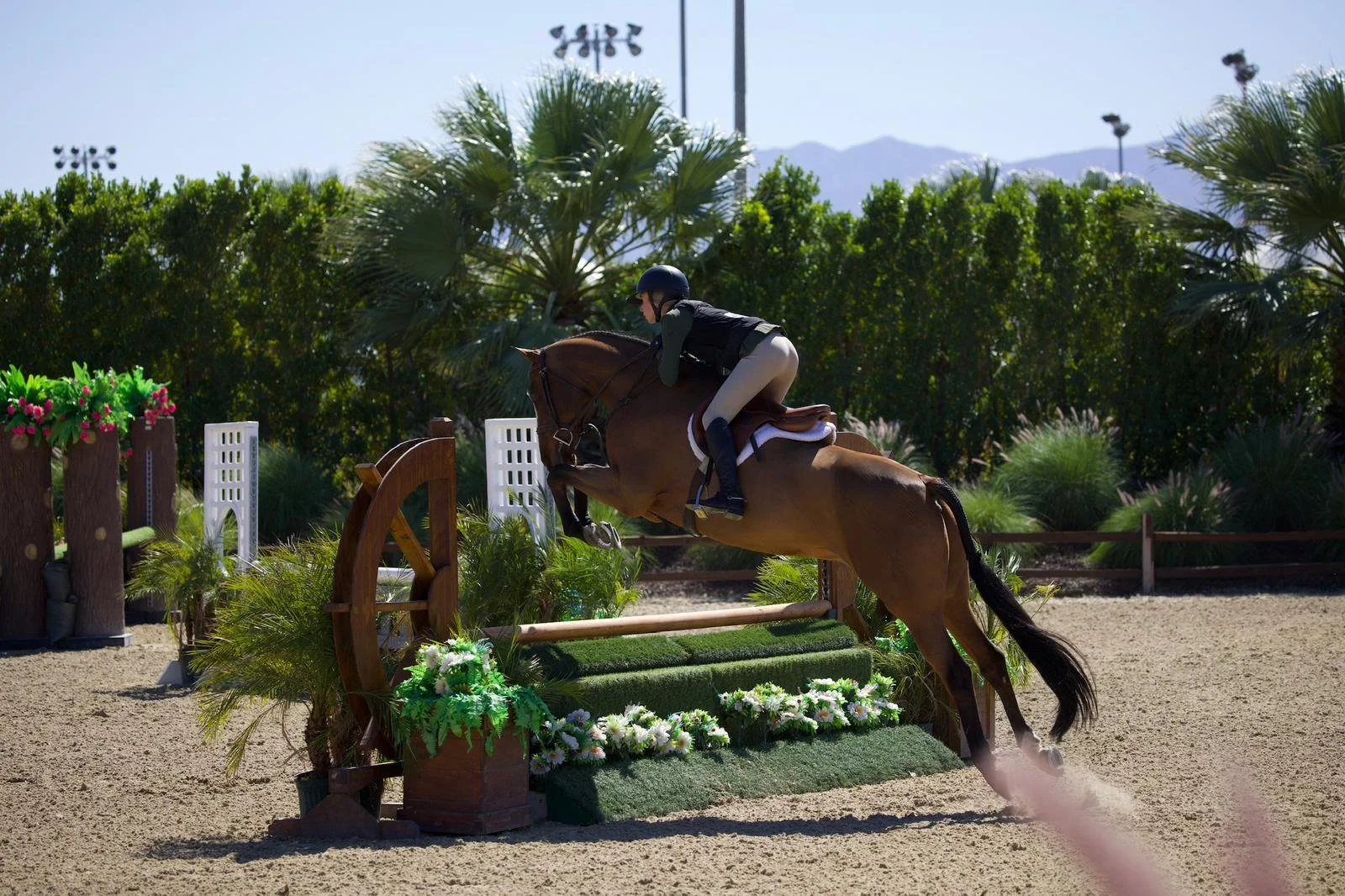 WhatsApp Image 2026-03-12 at 13.07.12.jpeg