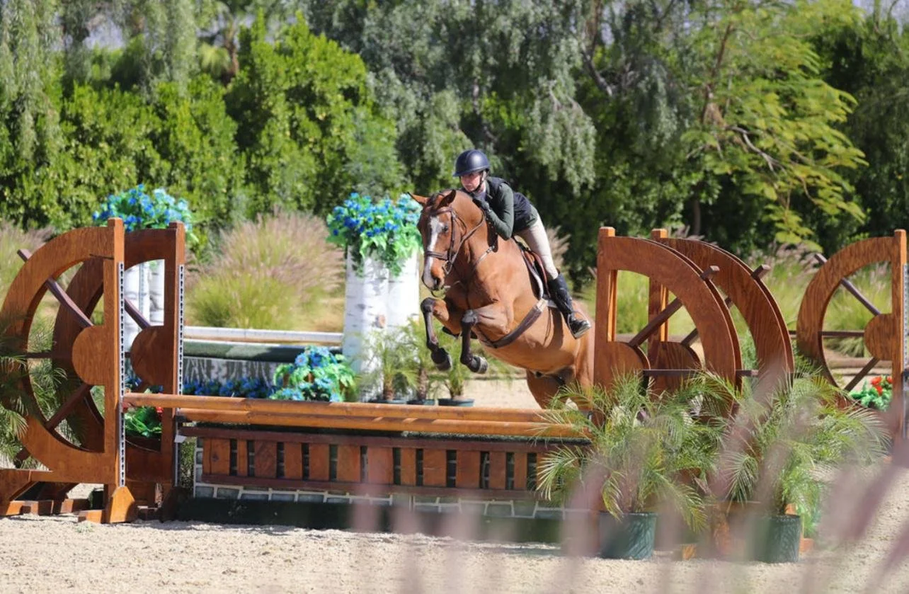 WhatsApp Image 2026-03-12 at 13.07.12 (3).jpeg