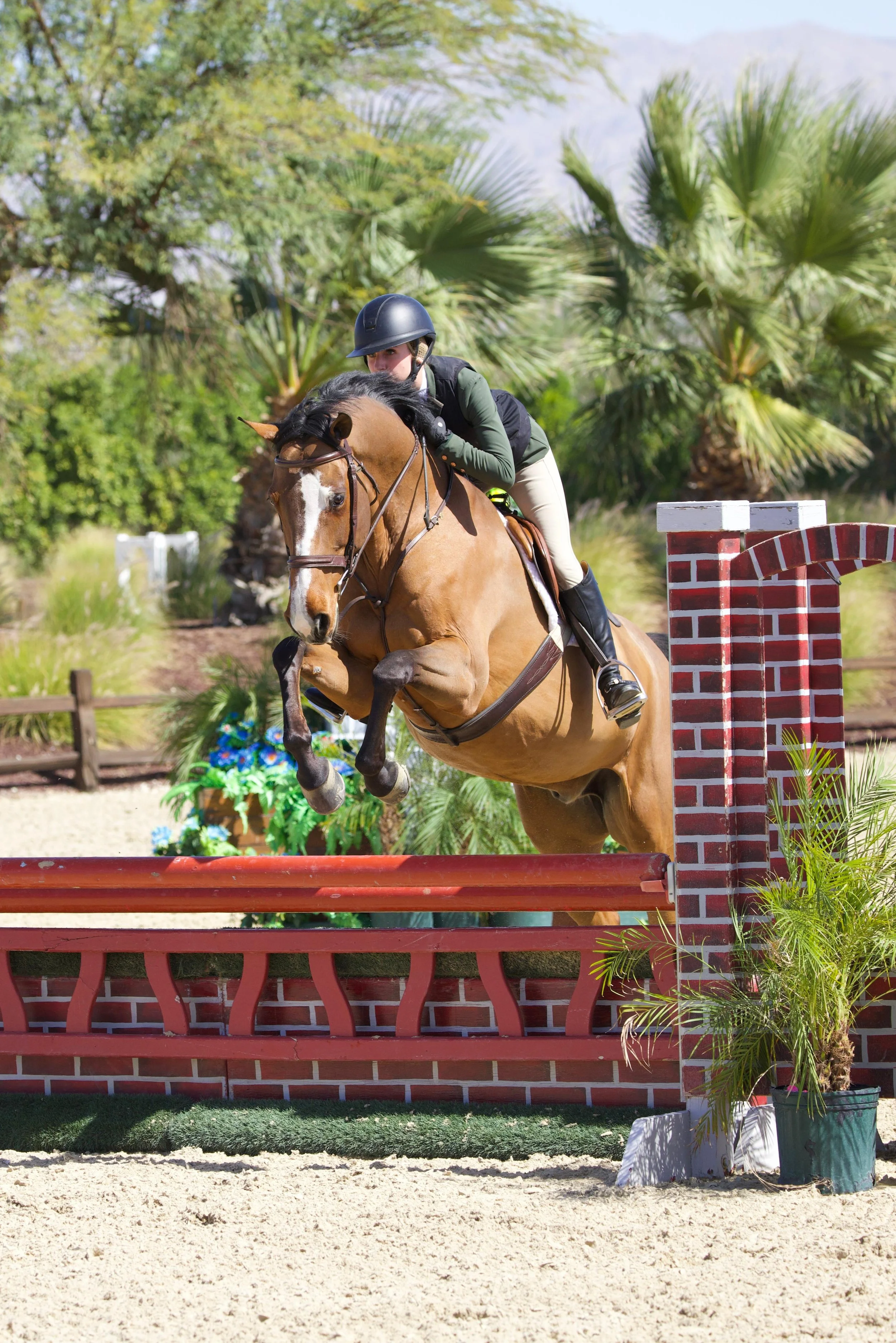 WhatsApp Image 2026-03-12 at 13.07.13.jpeg