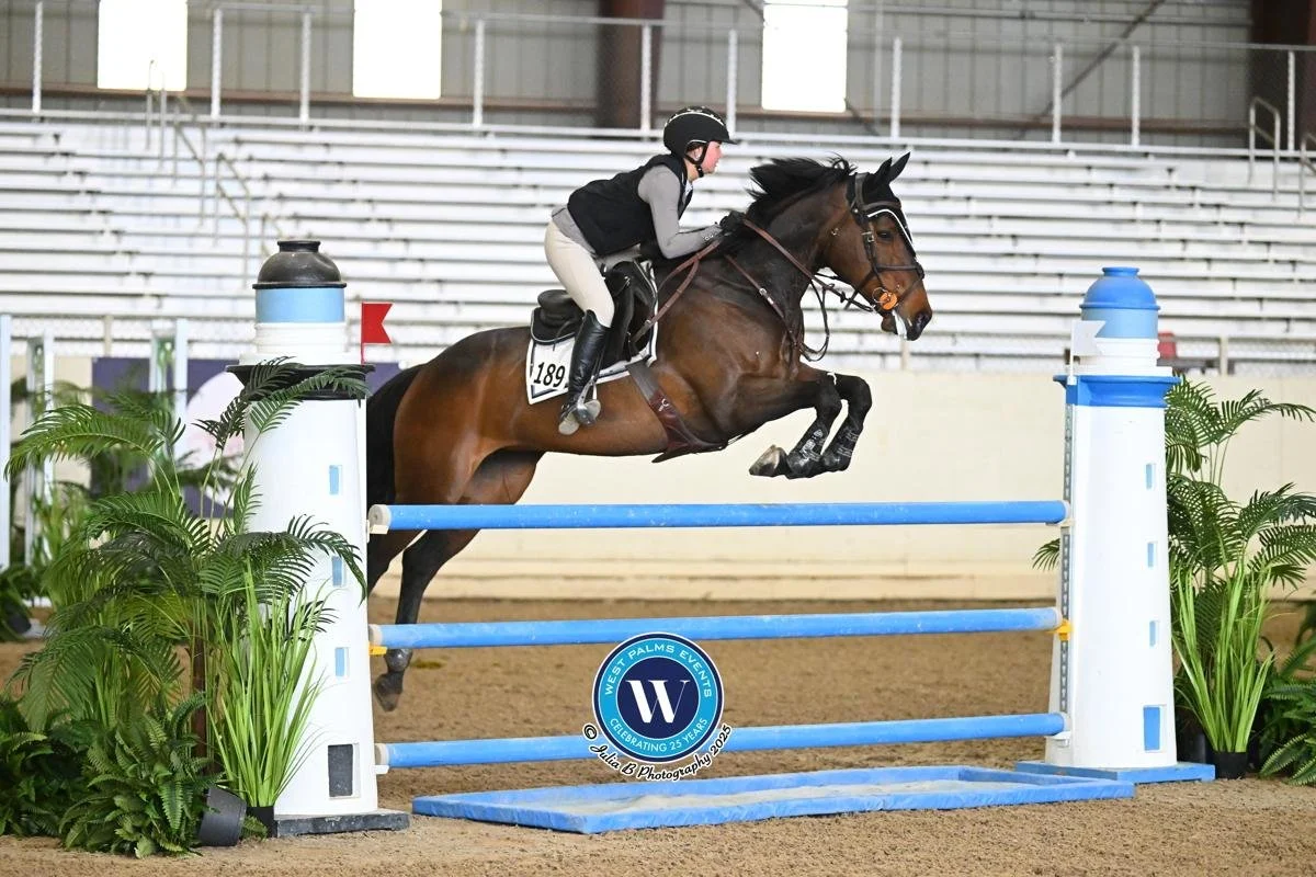 WhatsApp Image 2026-03-25 at 08.22.45 (1).jpeg