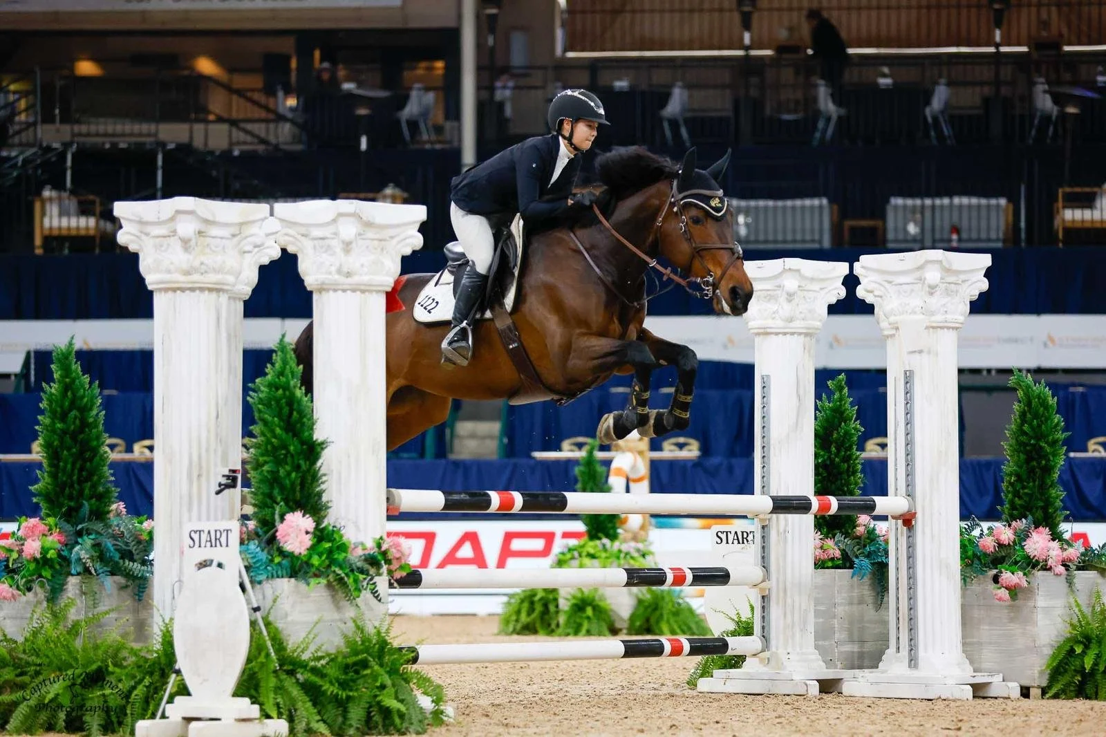 WhatsApp Image 2026-03-25 at 08.22.48.jpeg