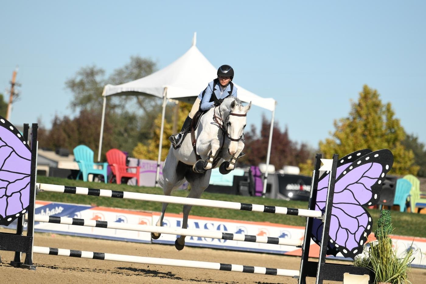 WhatsApp Image 2026-03-25 at 08.22.41.jpeg