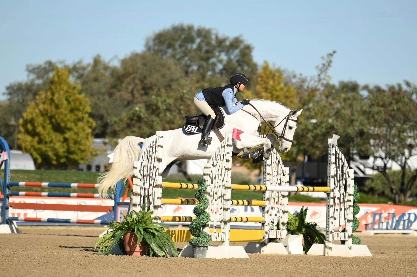 WhatsApp Image 2026-03-25 at 08.22.41 (1).jpeg