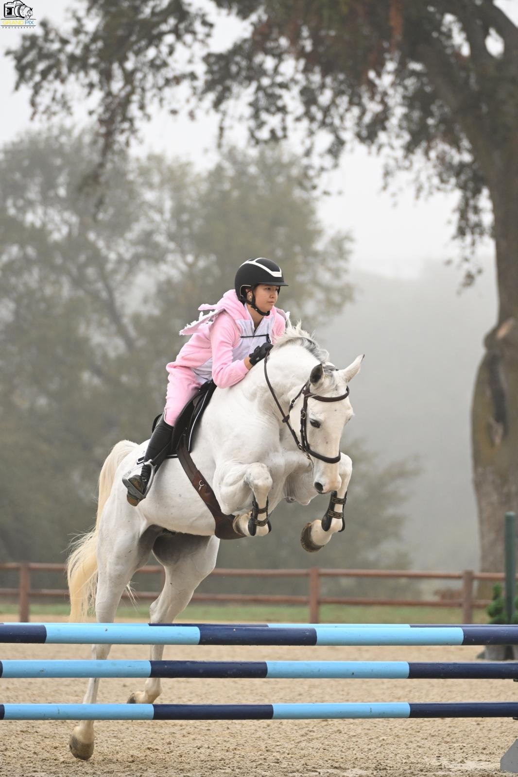 WhatsApp Image 2026-03-25 at 08.22.42 (1).jpeg