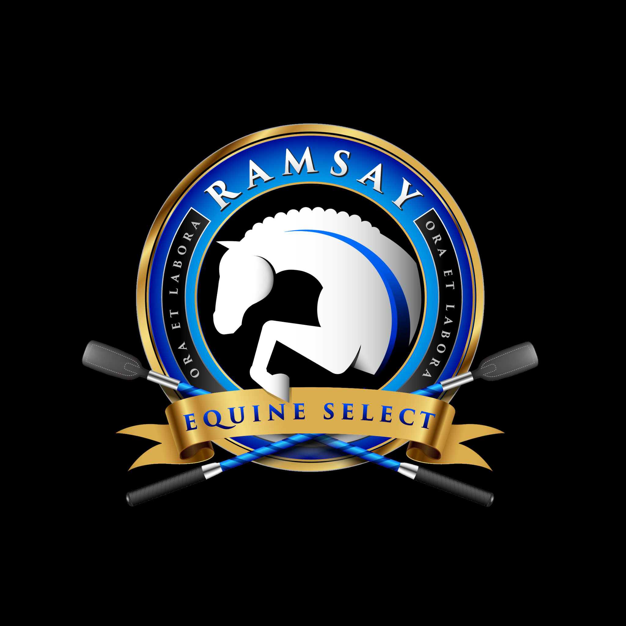 Ramsay Equine Horses-6 copy 2.png