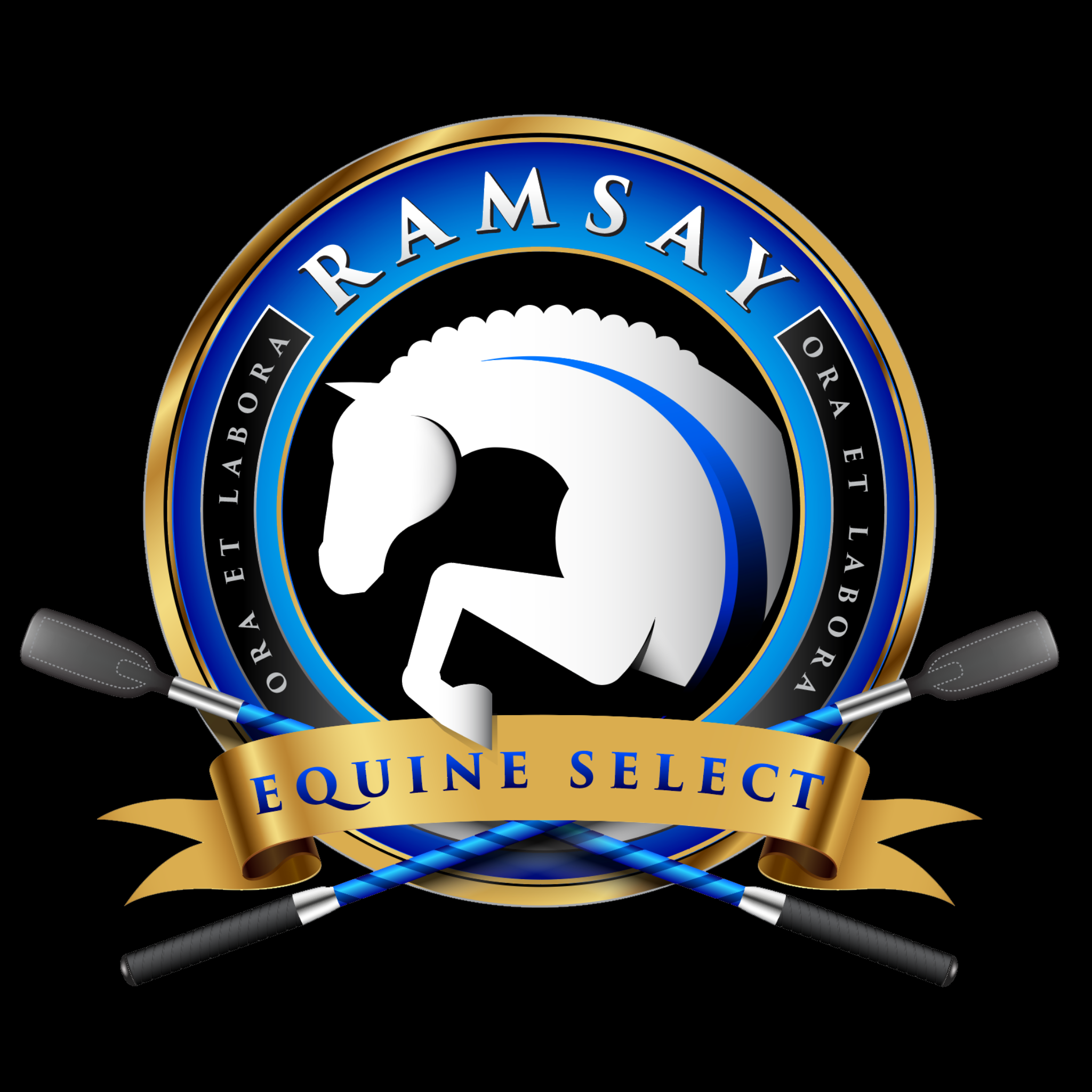 Ramsay Equine Horses-9 copy.png