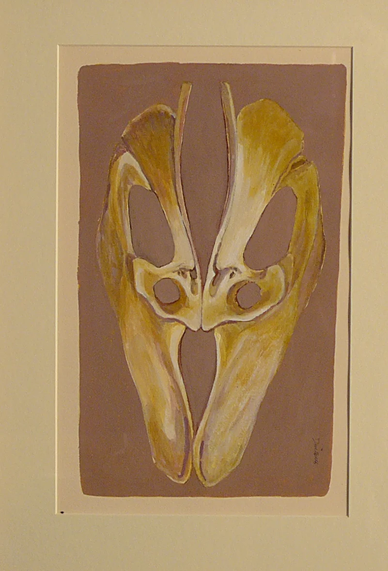 TURKEY BONE MASK IV
