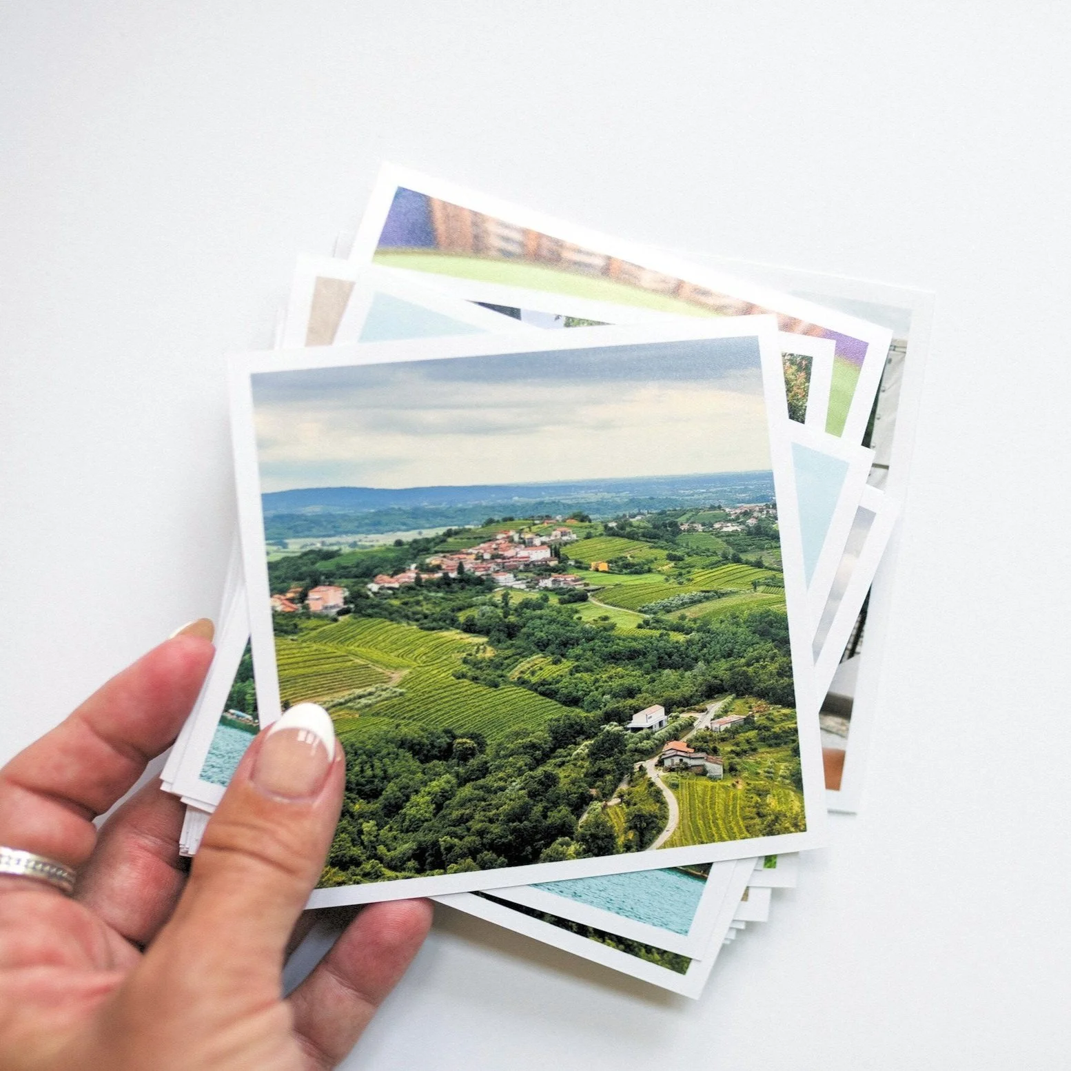 prints persnickety box.jpg