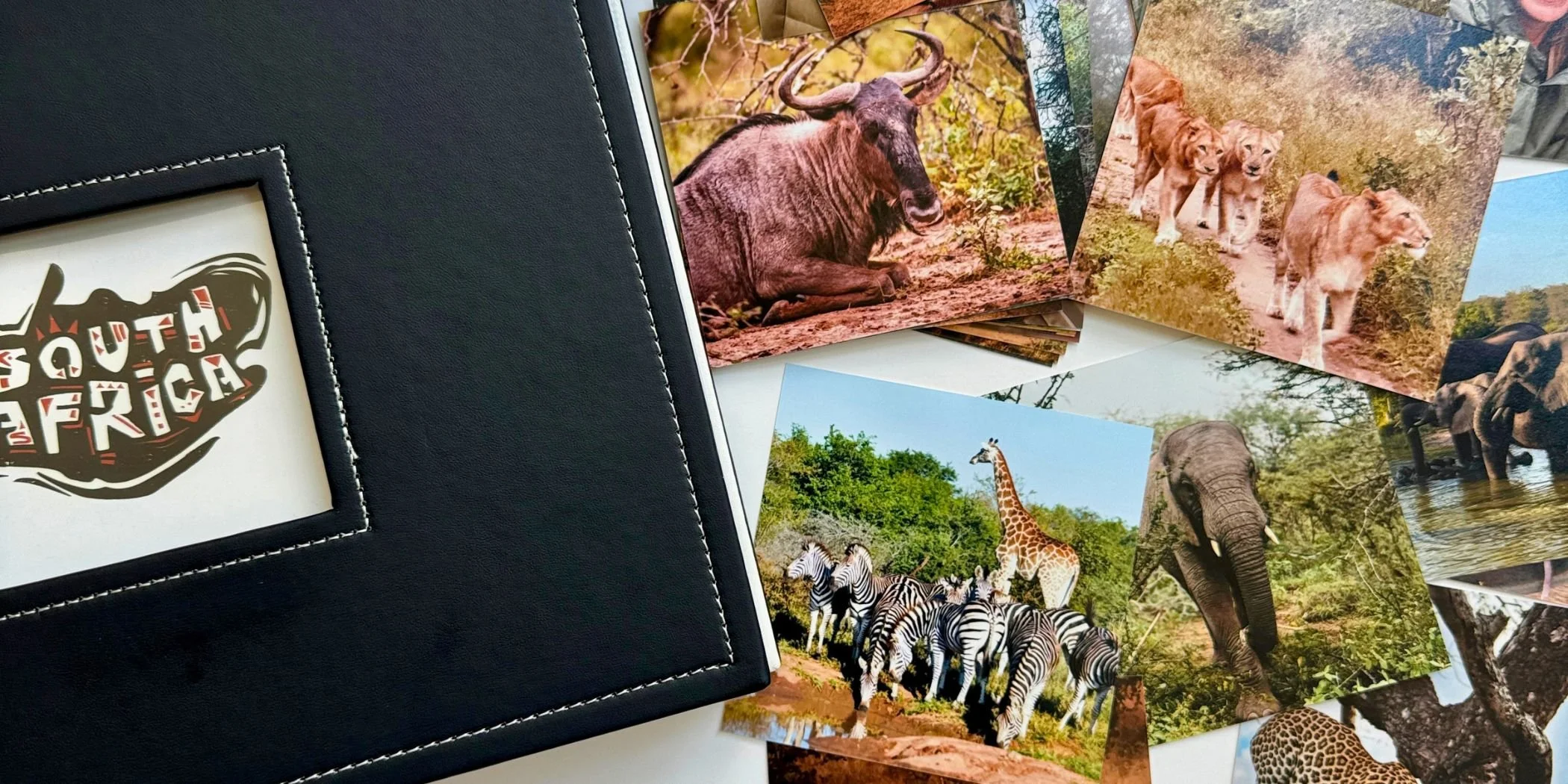 How I Documented Our South African Safari in one day 