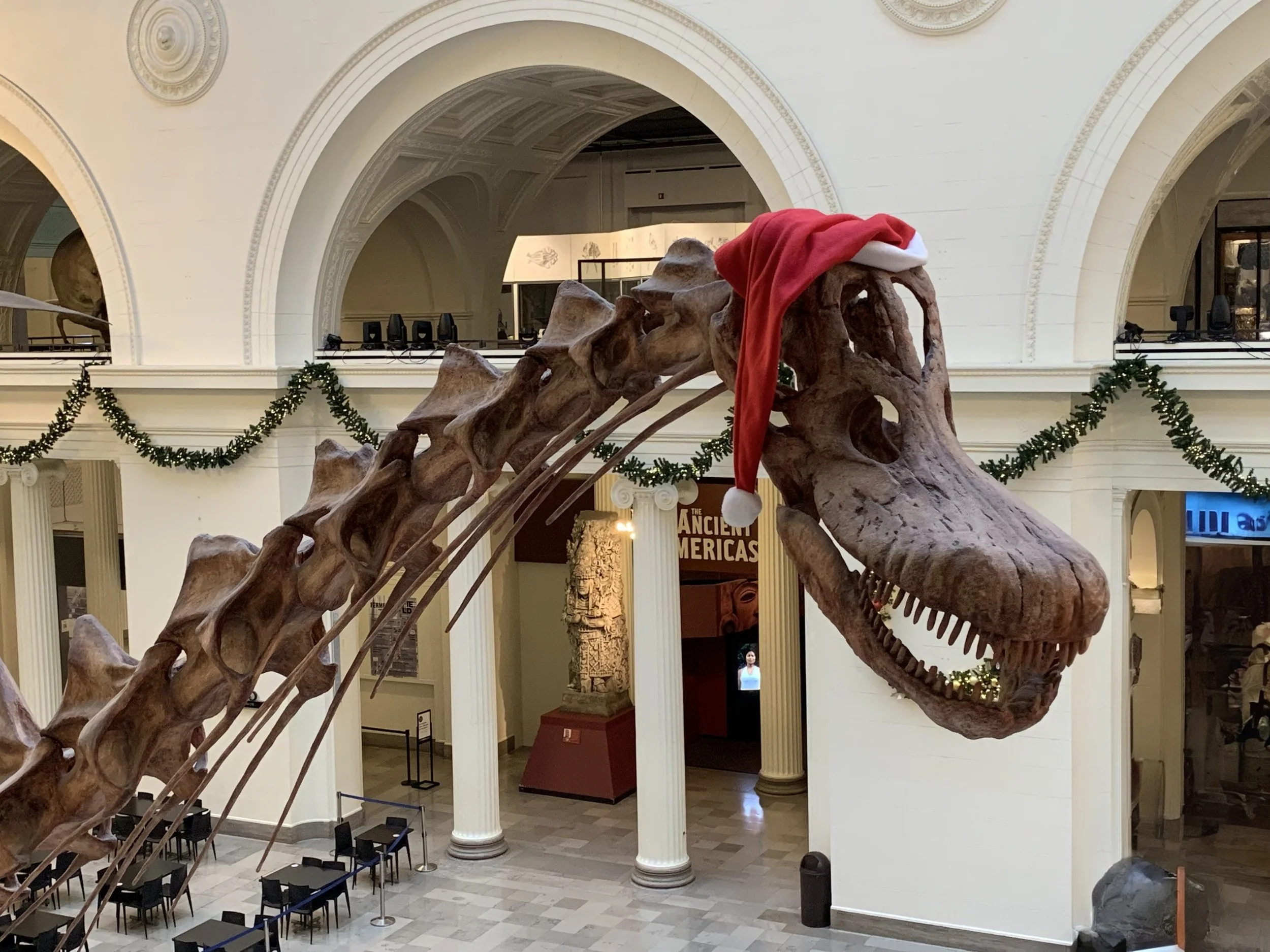 Field Museum