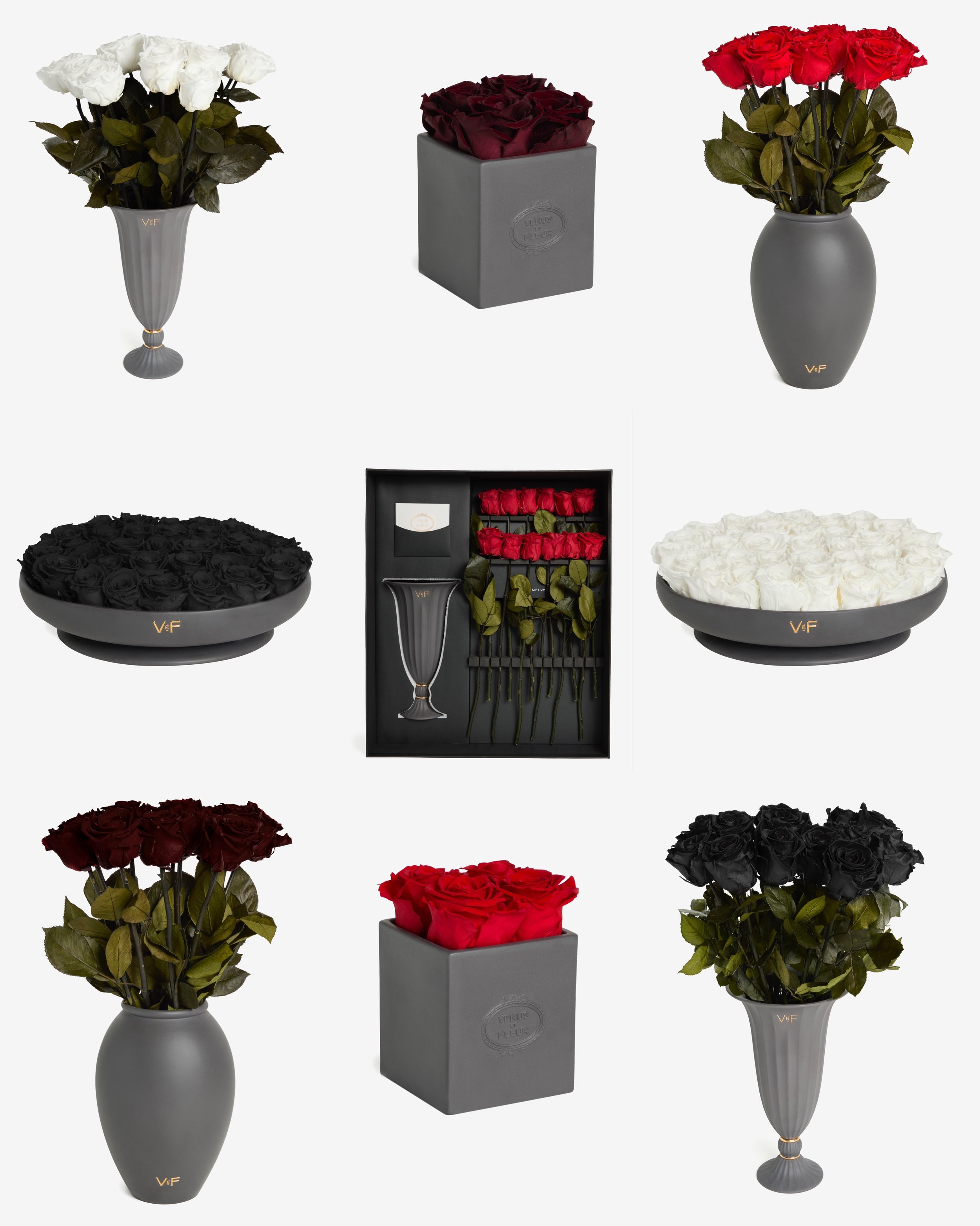 Venus Et Fleur (Copy)