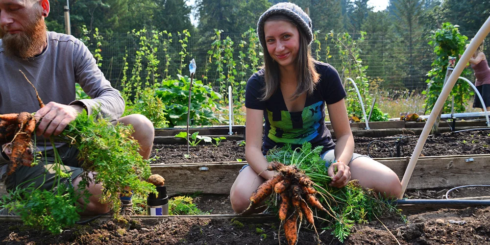 Community Garden 6.jpg