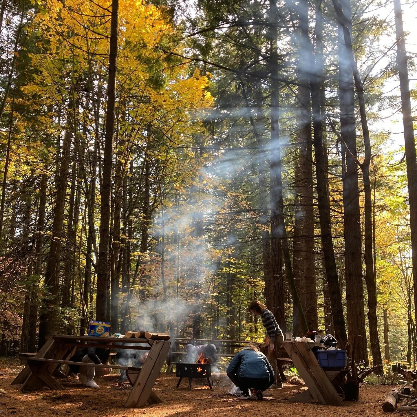 Connecting with our #NationalForests is essential for youth. Time spent in our beautiful wilderness is filled with joy and laughter, and is an antidote for stress.

Outdoor Access is Love! 🫶🏼🌲

In the words of a CultureSeed Junior Guide, &ldquo;co