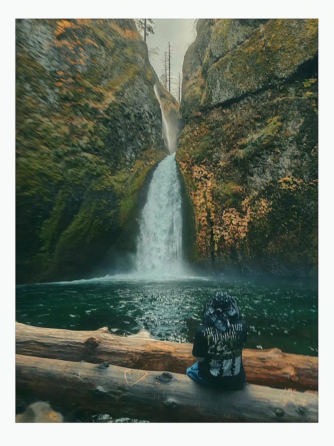 🔂Repost 📸 Too good not to share. These are all from CultureSeed outings.

Shared with permission from one of our young leaders at CultureSeed :) 

#PNWphotographers #CultureSeed