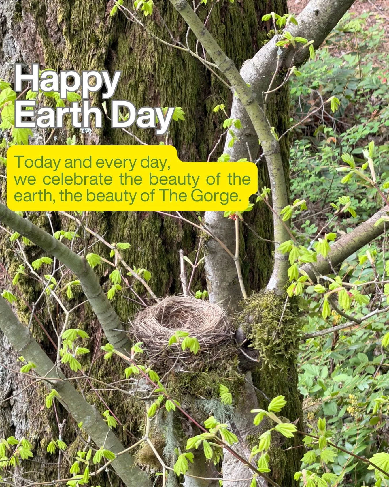 Happy Earth Day!!! 🌎

Today we celebrate the beauty of the earth and this beautiful region we live in! Cheers to more hours spent outside through our programs 🫶🏼

Just 15 minutes outdoors can:
✨ reduce stress
✨ improve mindfulness
✨ boost mental h