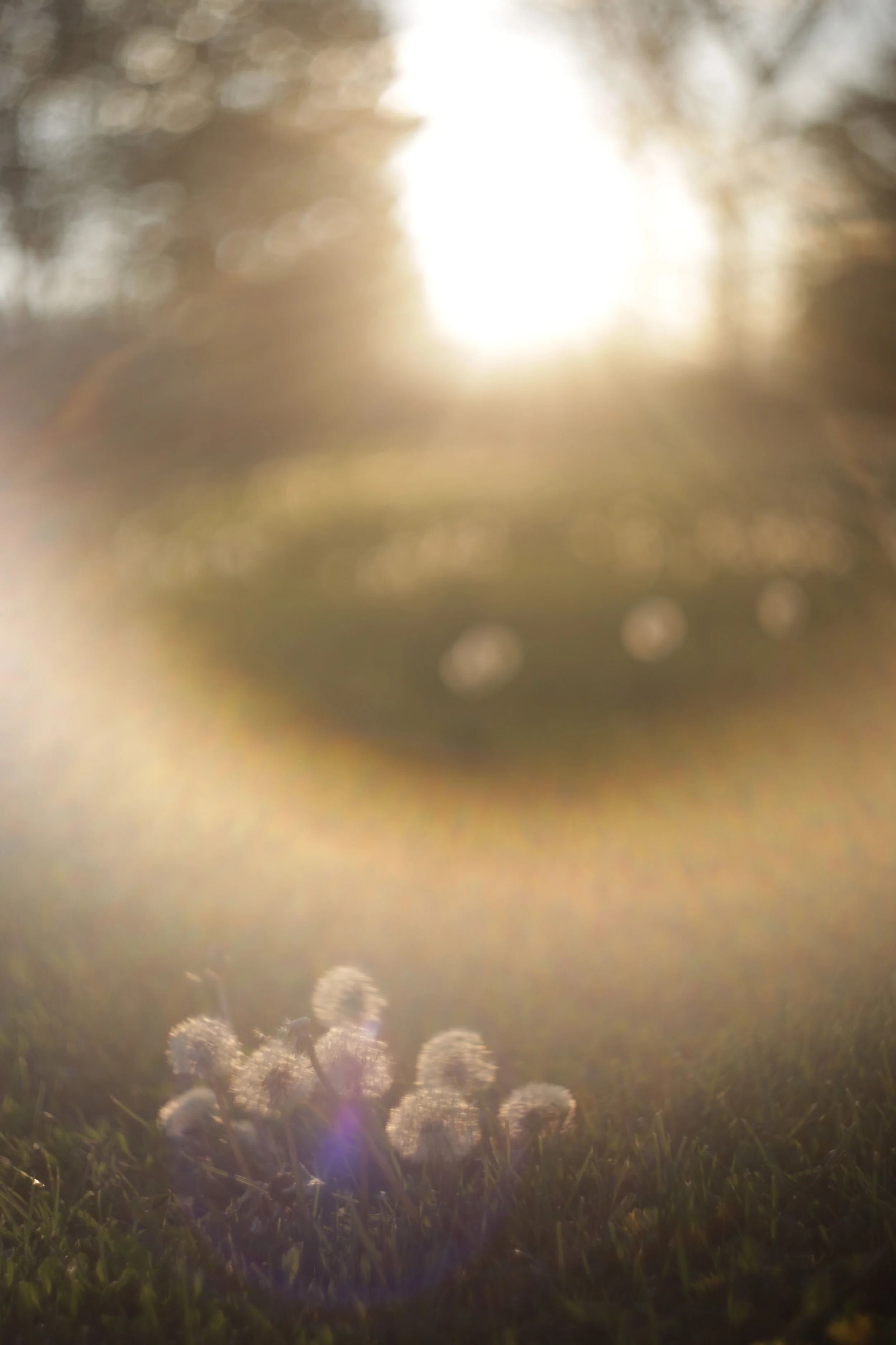 I Didn't Believe in Love