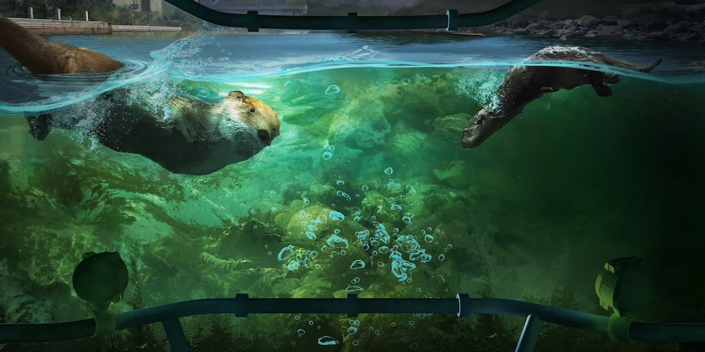 A moment from a new film for the Floating Water Workshop. Viewers take a virtual journey along the river, from birds-eye footage to an animated dive below the surface.