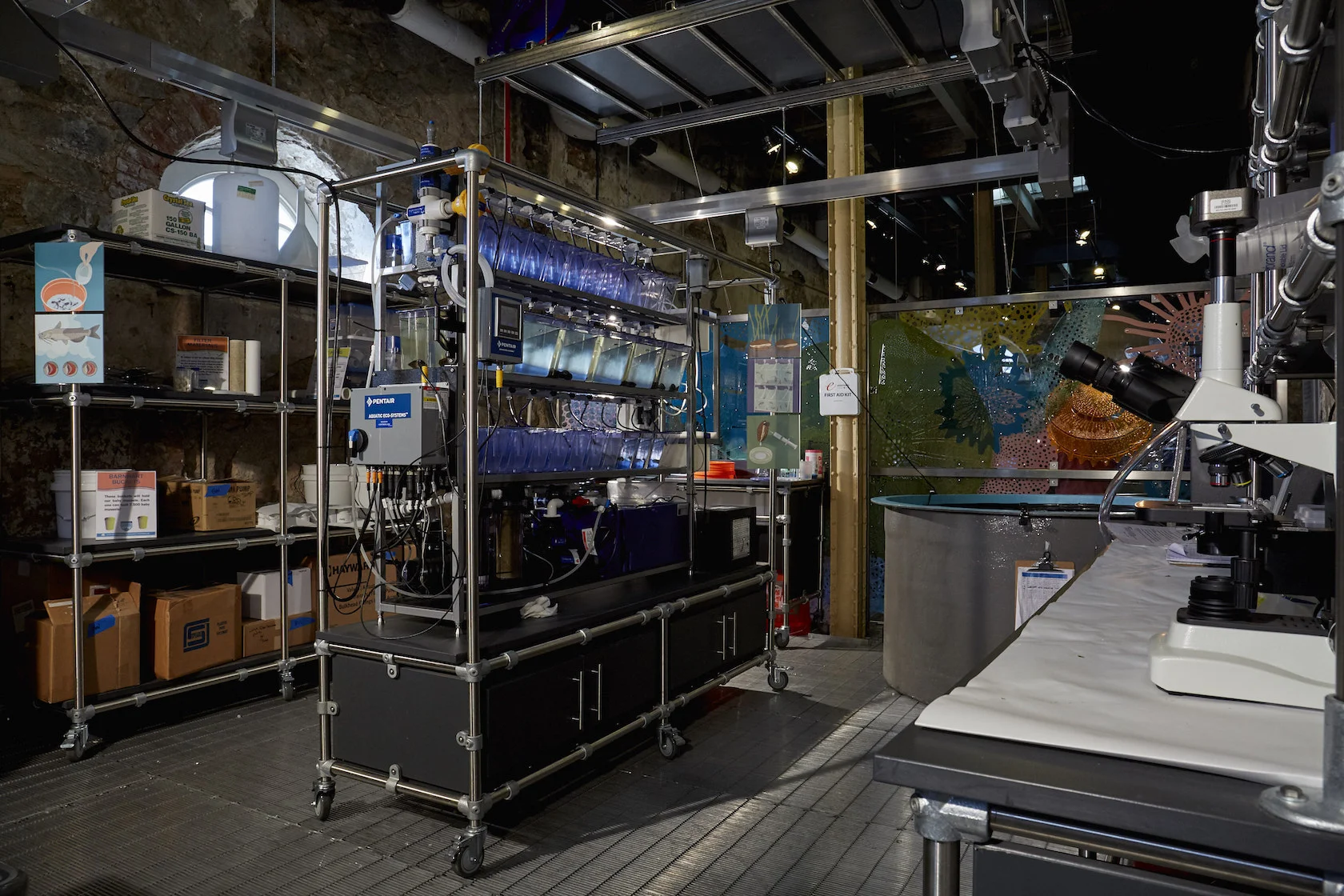 Interior view of our Mussel Hatchery Living Laboratory at the Fairmount Water Works, home to the work of our partners at the Partnership for the Delaware Estuary.