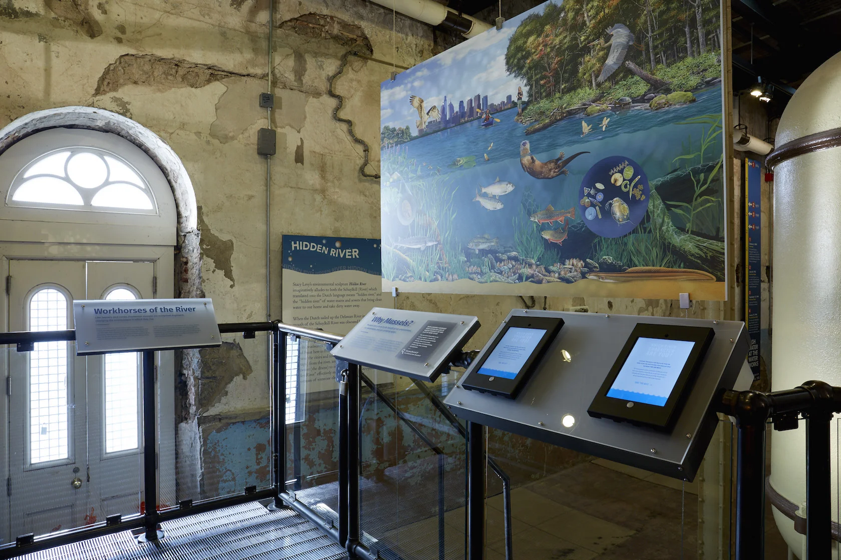 A playful mural showing a healthy riverbed (complete with a cheeky river otter) covers one wall of the Mussel Hatchery.