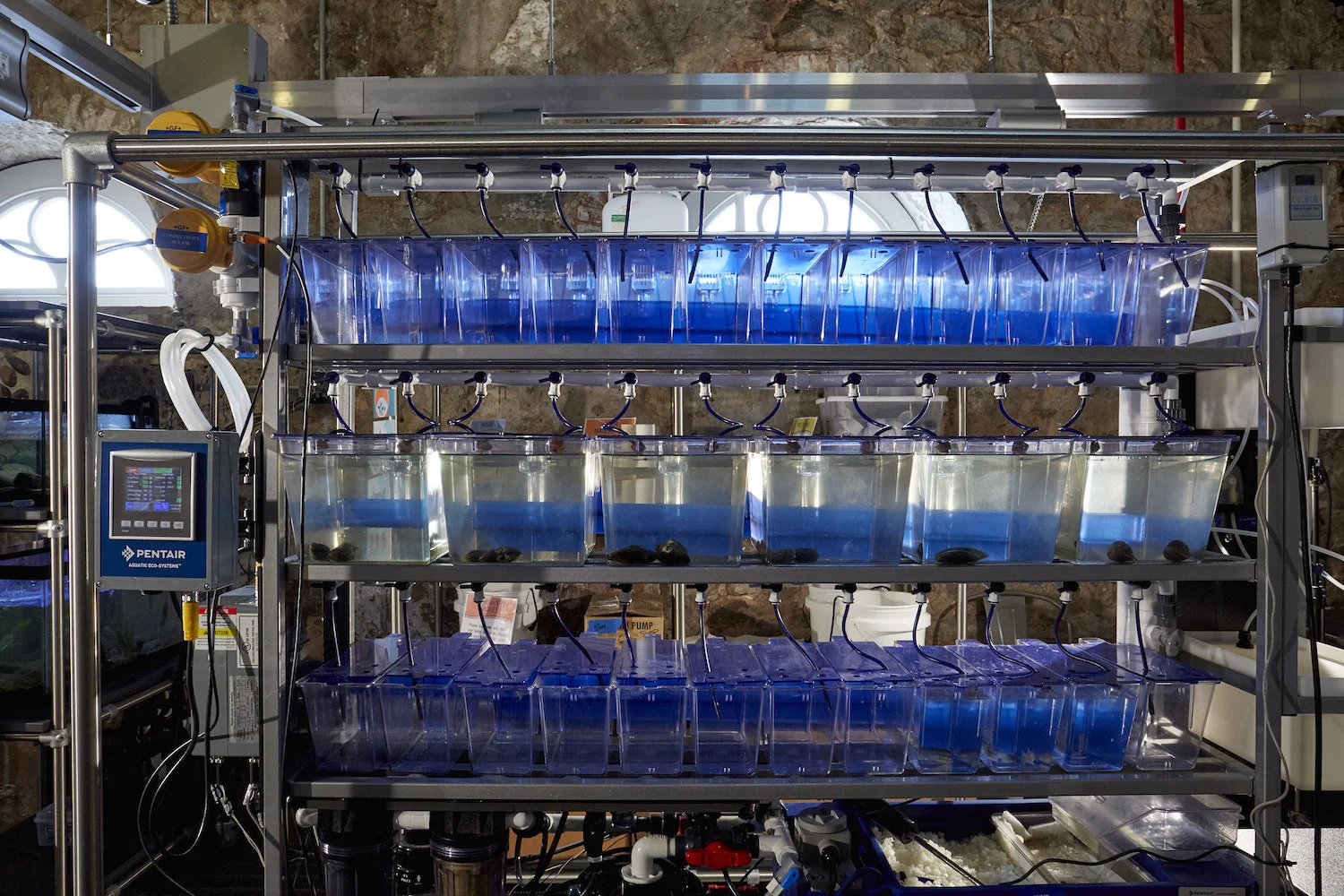 Tanks for freshwater mussels in the Living Laboratory at the Fairmount Water Works' Mussel Hatchery. This exhibit was made possible by the PEW Center for Arts and Heritage.