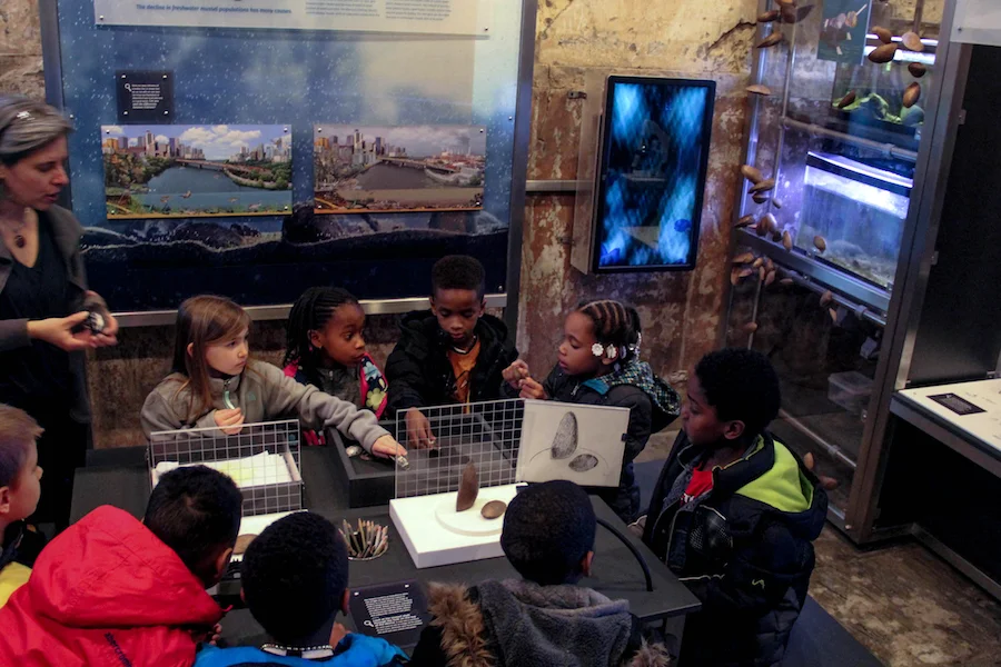 Students gather at the drawing and observation table at the Mussel Hatchery.