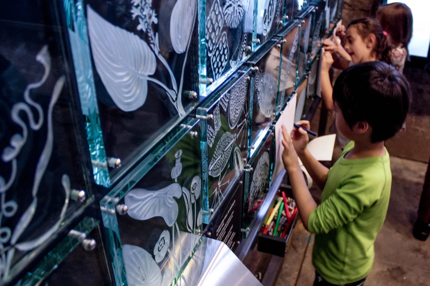 Glass tiles with sandblasted images of native animals, micro-organisms and plants provide a textural surface for students to take rubbings with paper and crayons in the Mussel Hatchery.