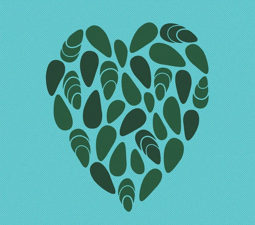 A love note to freshwater mussels, designed by Heads of State for a graphic poster series featuring many views of water.