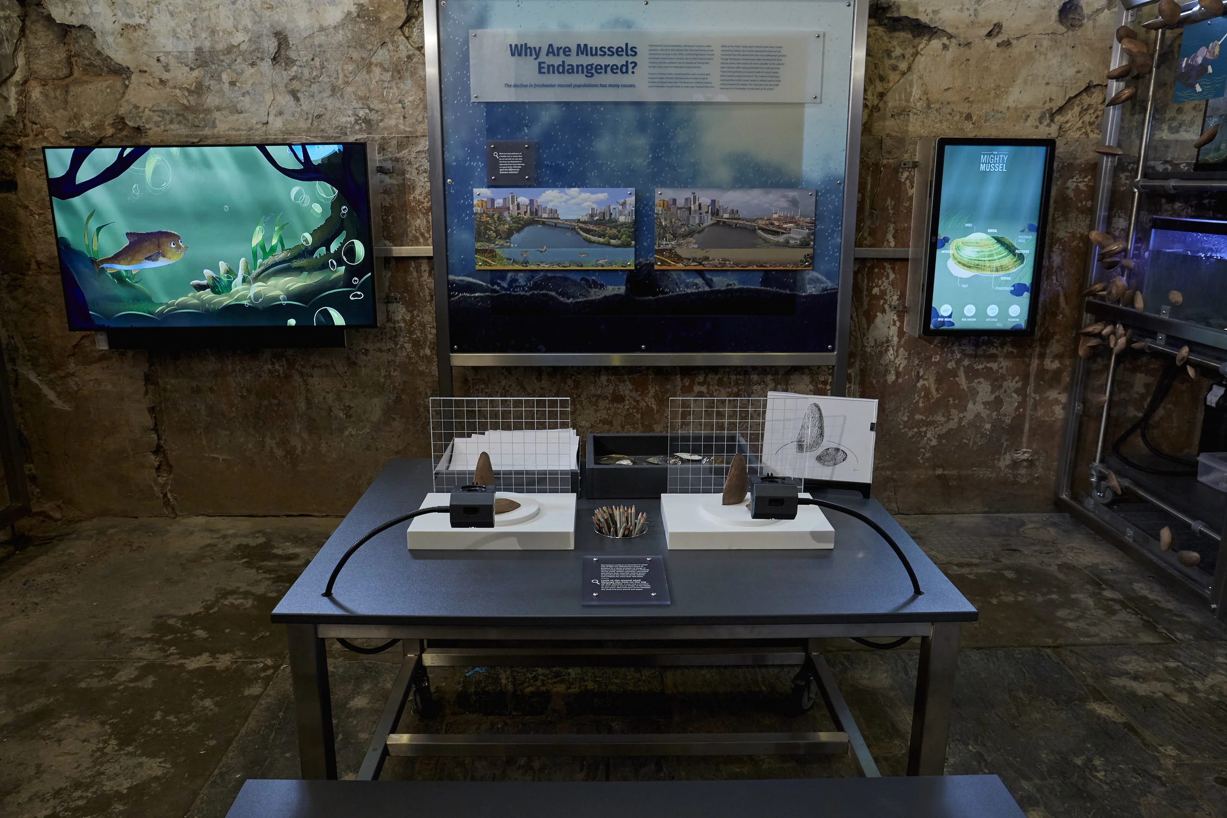 Hatchery_interior2.jpg