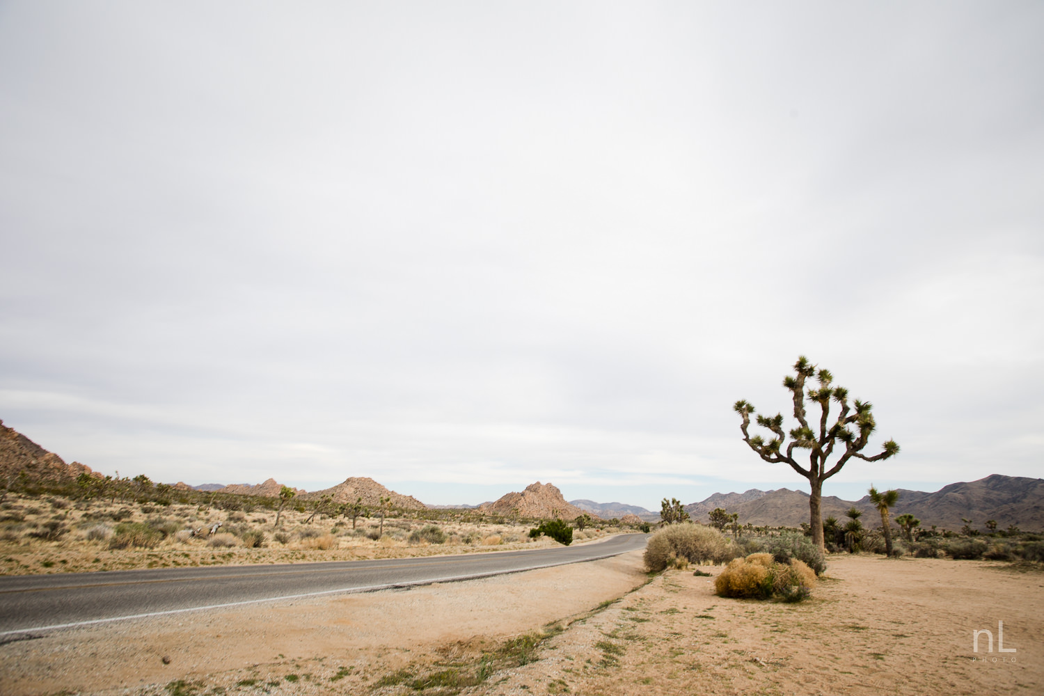 joshua-tree-engagement-wedding-elopement-photography-stylized-photoshoot-landscape-road-scene