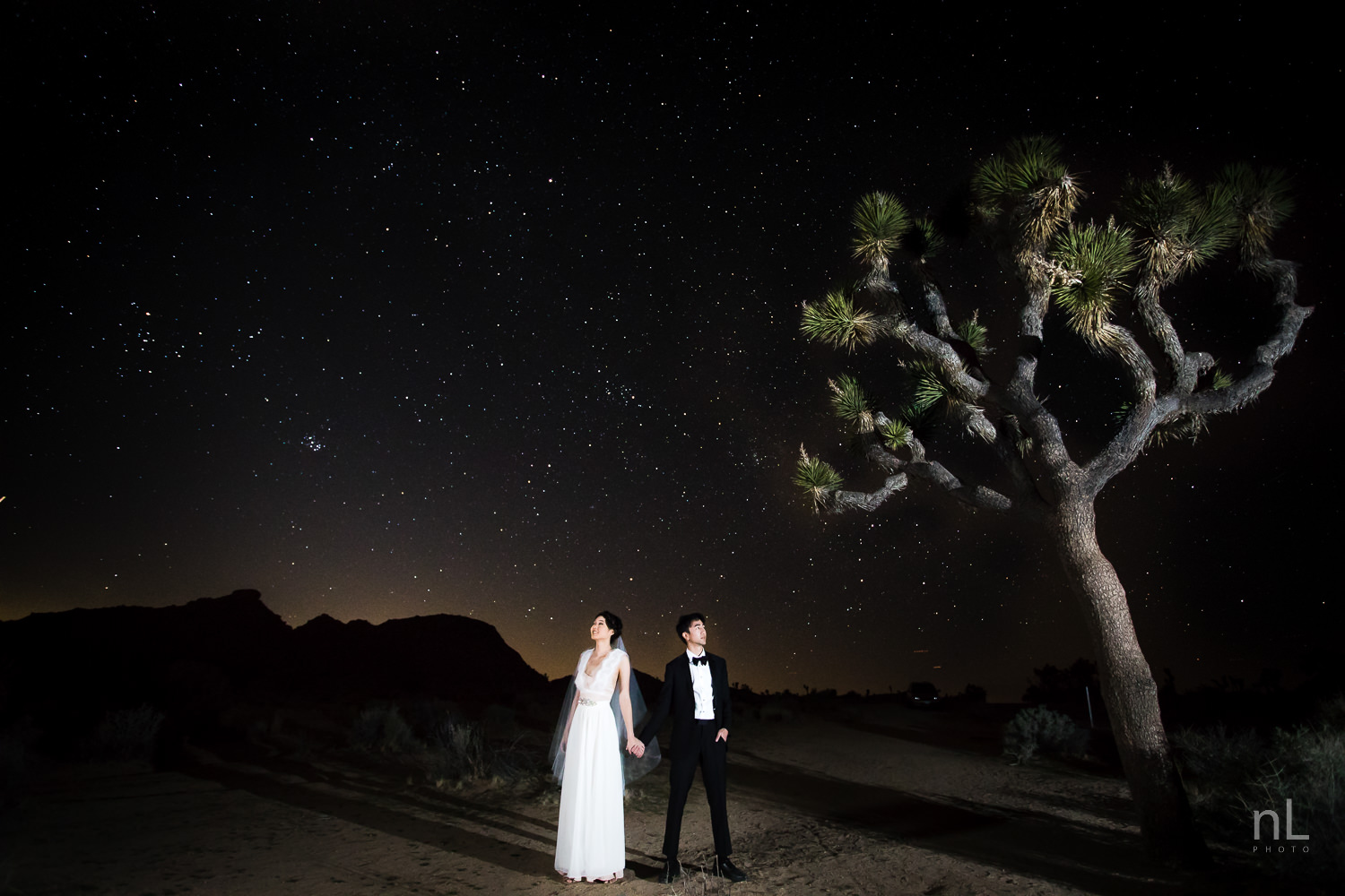 joshua-tree-engagement-wedding-elopement-photography-stylized-photoshoot-epic-environmental-portrait-bride-and-groom-astrophotography