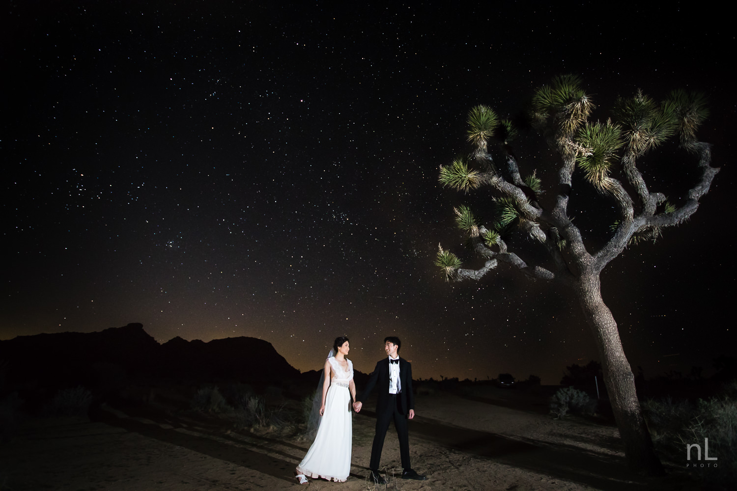 joshua-tree-engagement-wedding-elopement-photography-stylized-photoshoot-epic-environmental-portrait-bride-and-groom-astrophotography