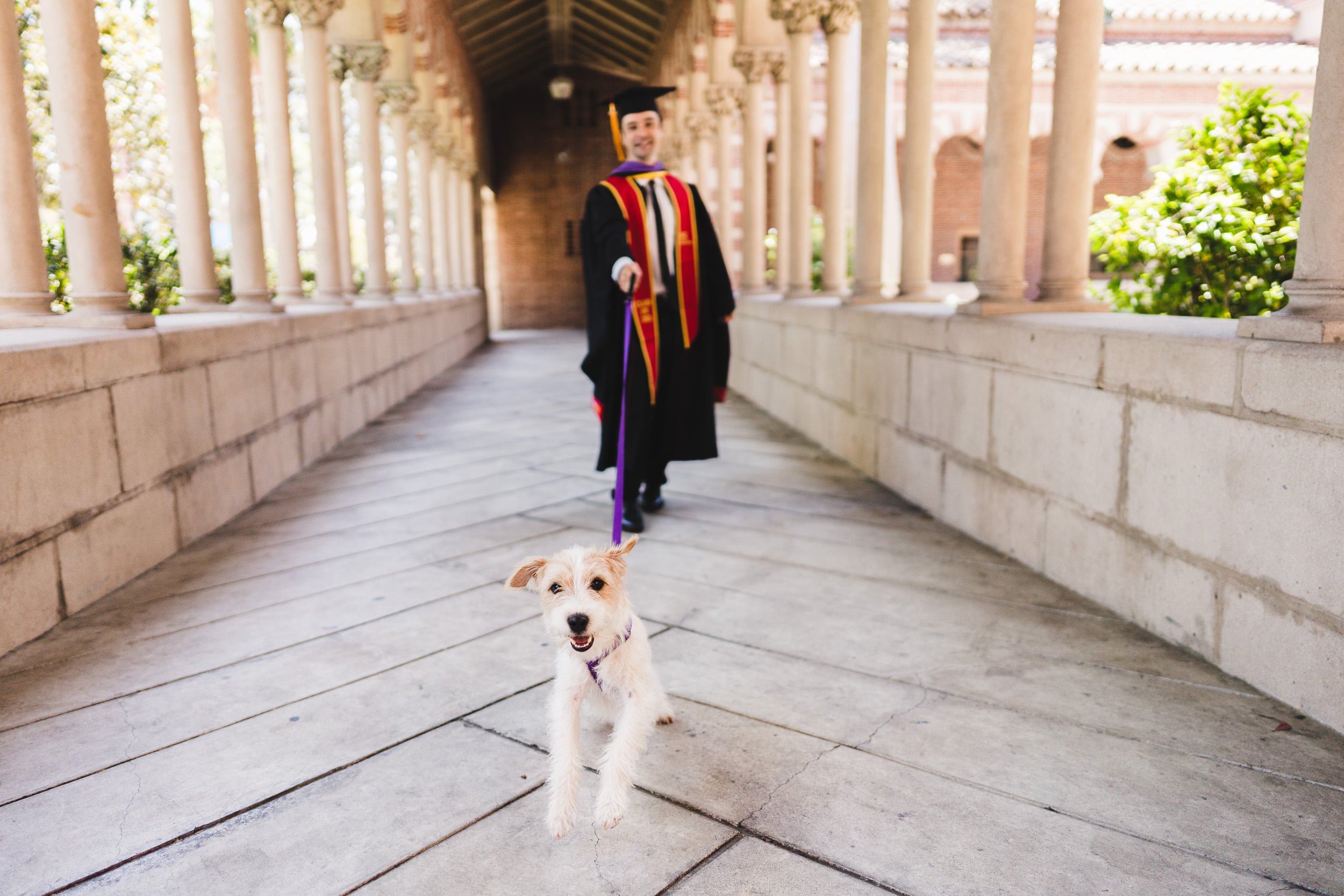 Graduation Portraits with Dogs, USC Masters Graduate with puppy on leash in Mudd Hall, Los Angeles, CA.