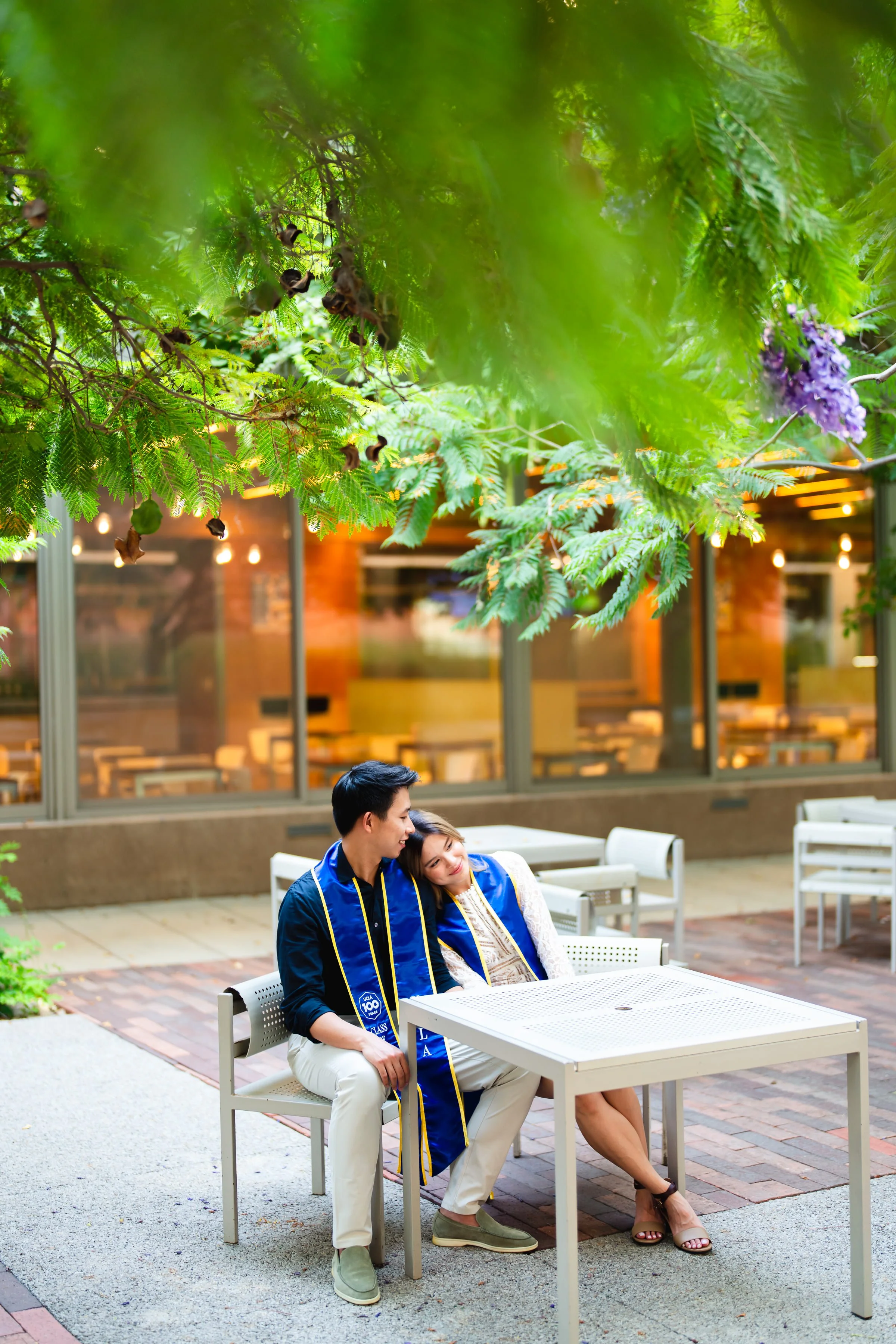 UCLA Graduation portrait at sunset