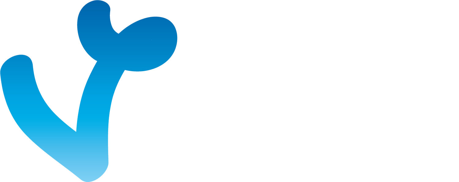Vision Graphics