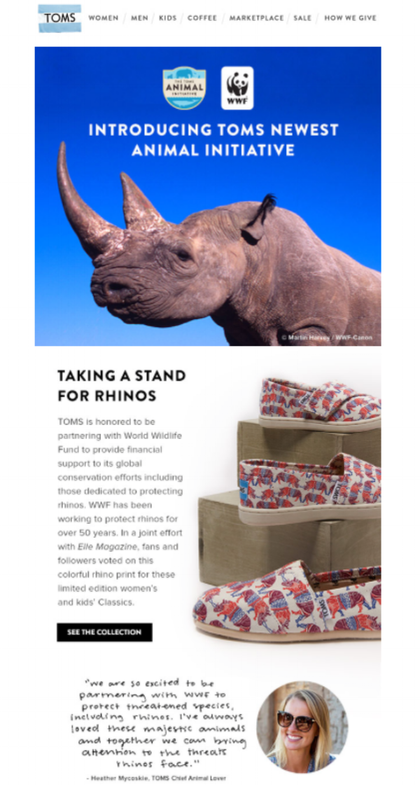 toms animal initiative