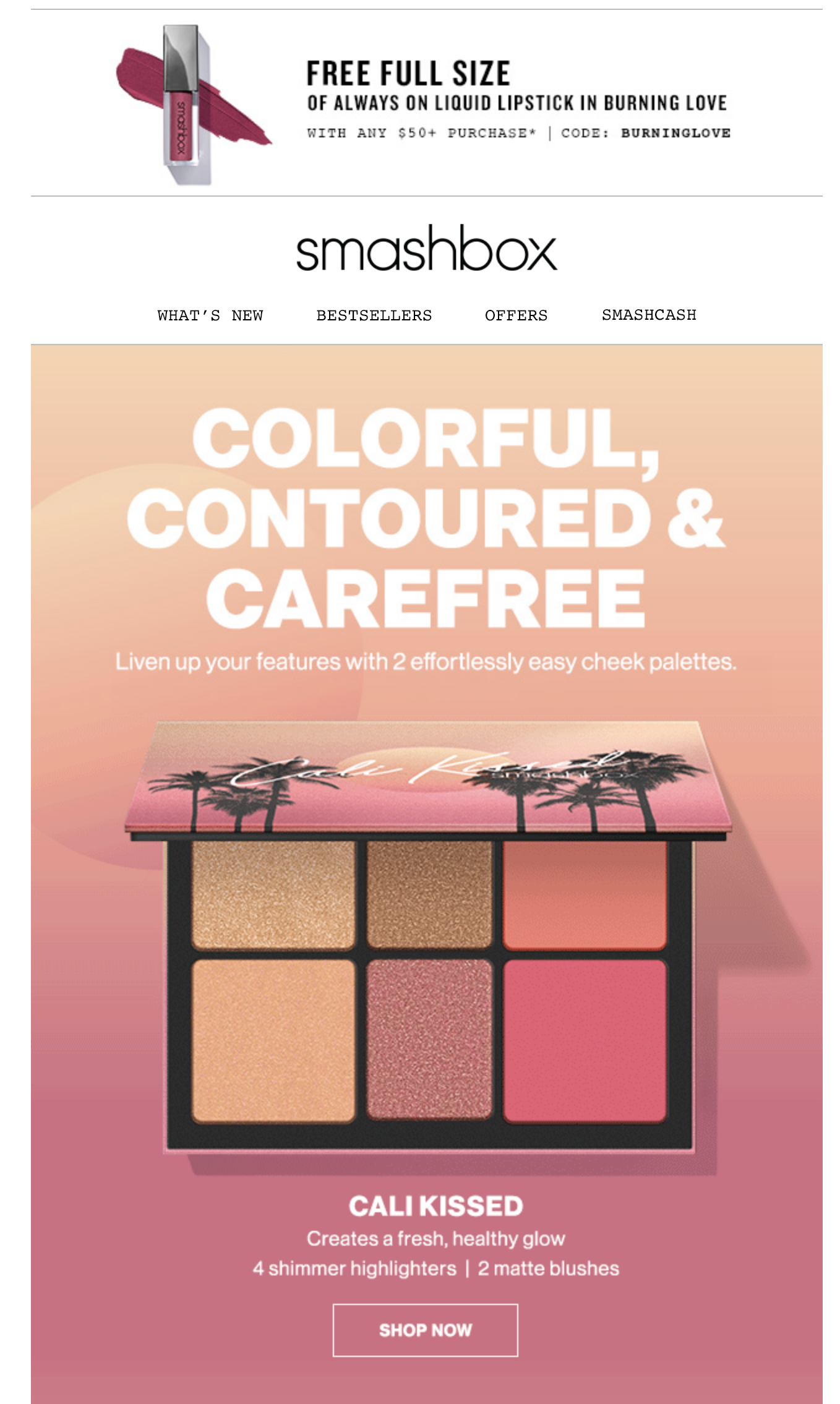 Screen Shot 2019-07-10 at 10.32.55 AM.png