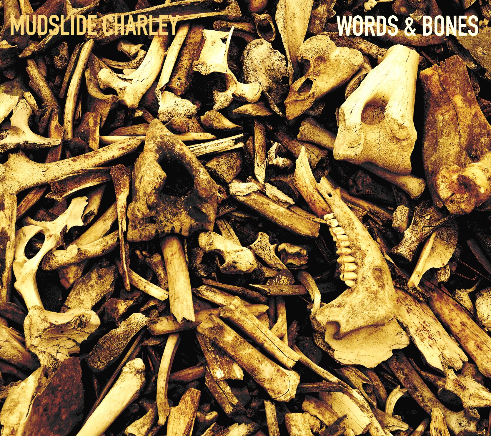 Words and Bones Album Art.jpg