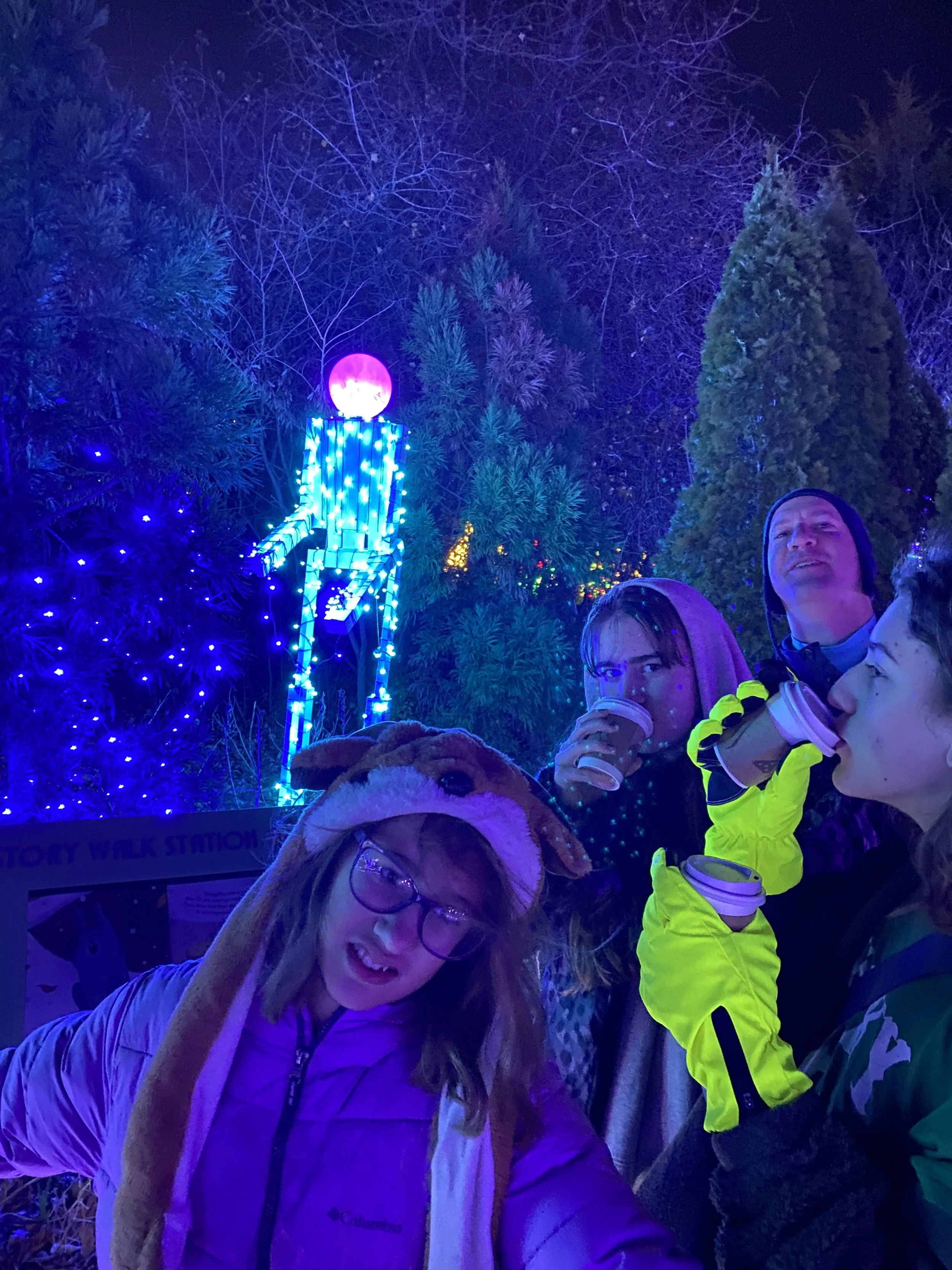 Botanic Garden of Lights