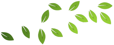 Leaves Crop.png