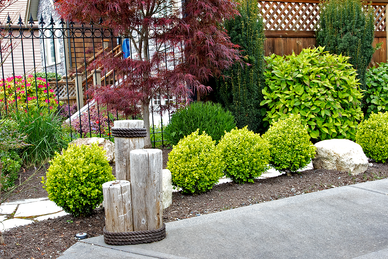 Mustang-Landscape-Garden-Design-Victoria-BC-Trees-Shrubs-Driftwood-.jpg