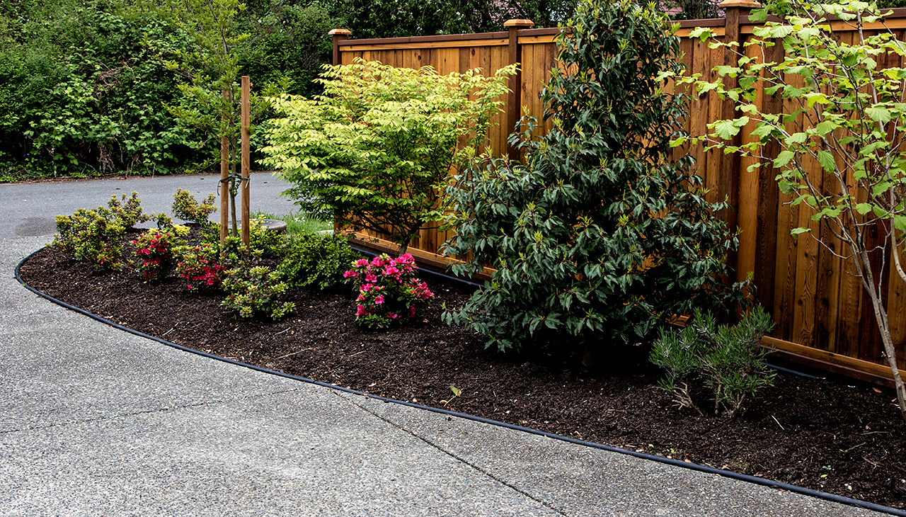 Mustang-Landscape-Garden-Design-Victoria-BC-Trees-Path.jpg