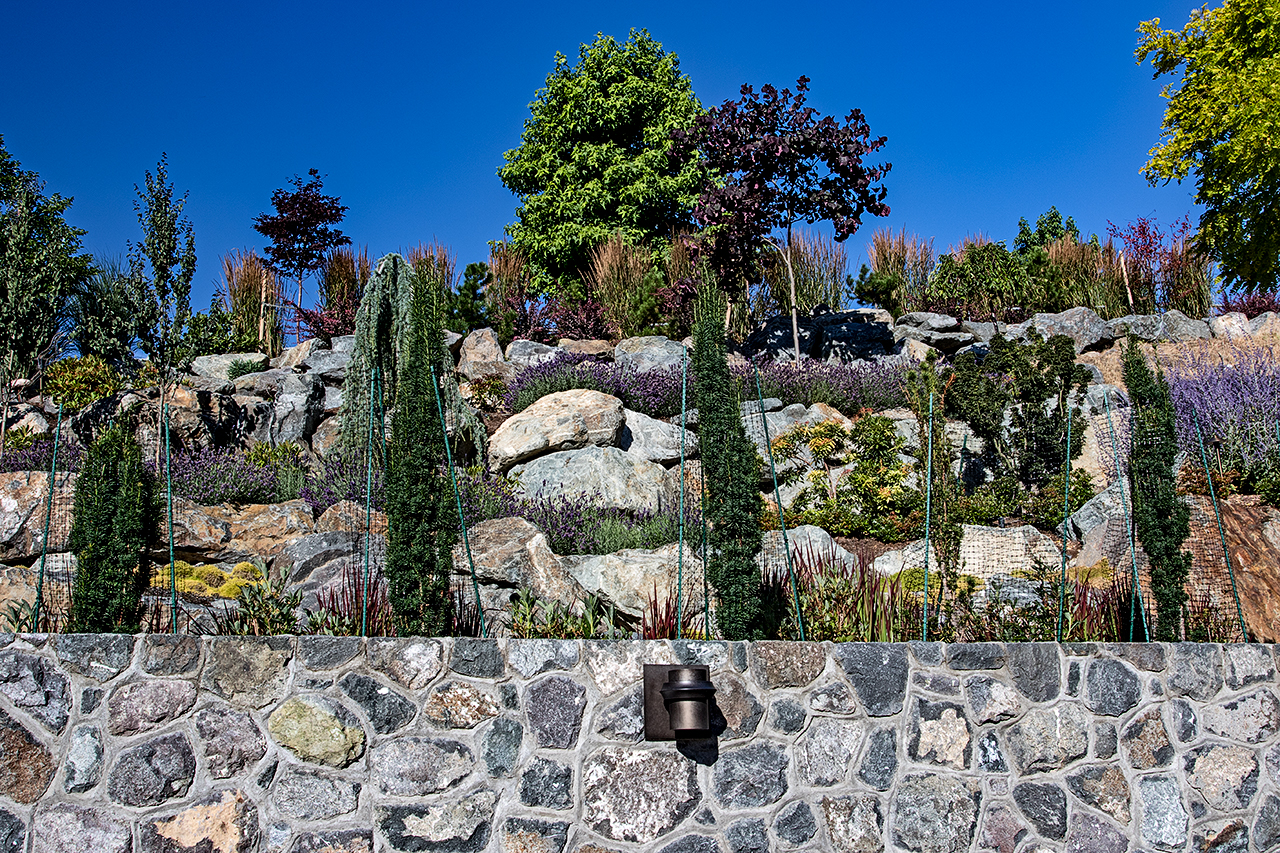 Cliffside garden-MustangLandscape-Victoria-BC-garden-8.jpg